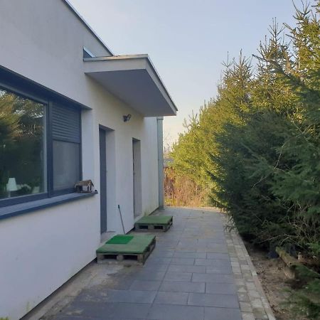 Maly Apartament W Zieleni Blisko Jeziora Środa Wielkopolska Eksteriør billede