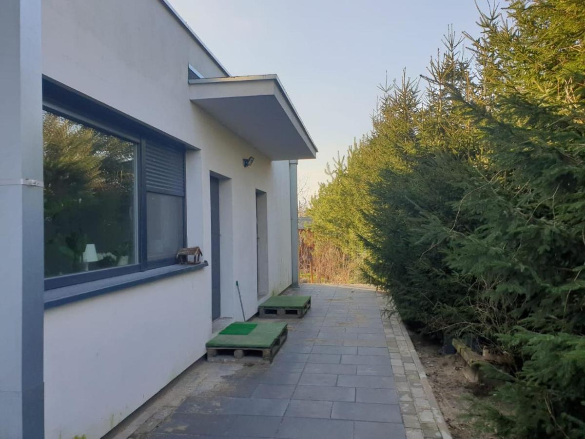 Maly Apartament W Zieleni Blisko Jeziora Środa Wielkopolska Eksteriør billede